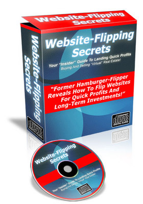 Product picture Website-Flipping Secrets
